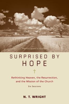 Surprised by Hope Wright N T 