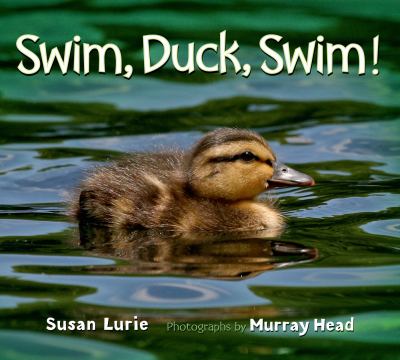 Swim Duck Swim Lurie Susan 