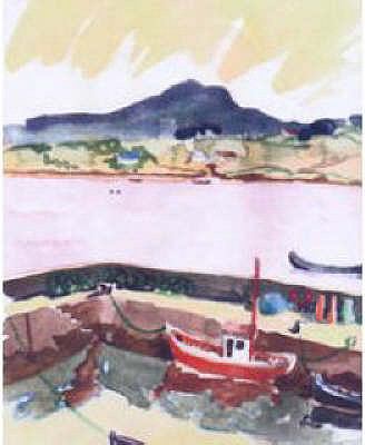 The Universe on a Bicycle Wilson Tony 