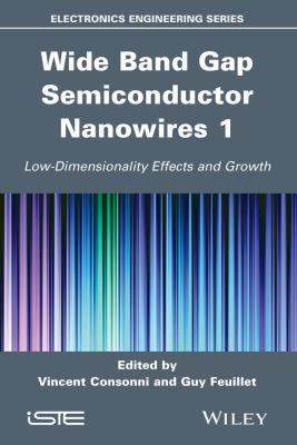 Wide Band Gap Semiconductor Nanowires for Optical Devices Consonni Vincent 