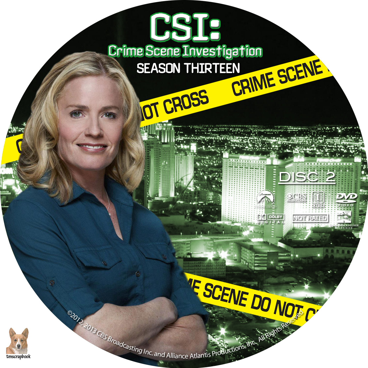 CSI S13 D2