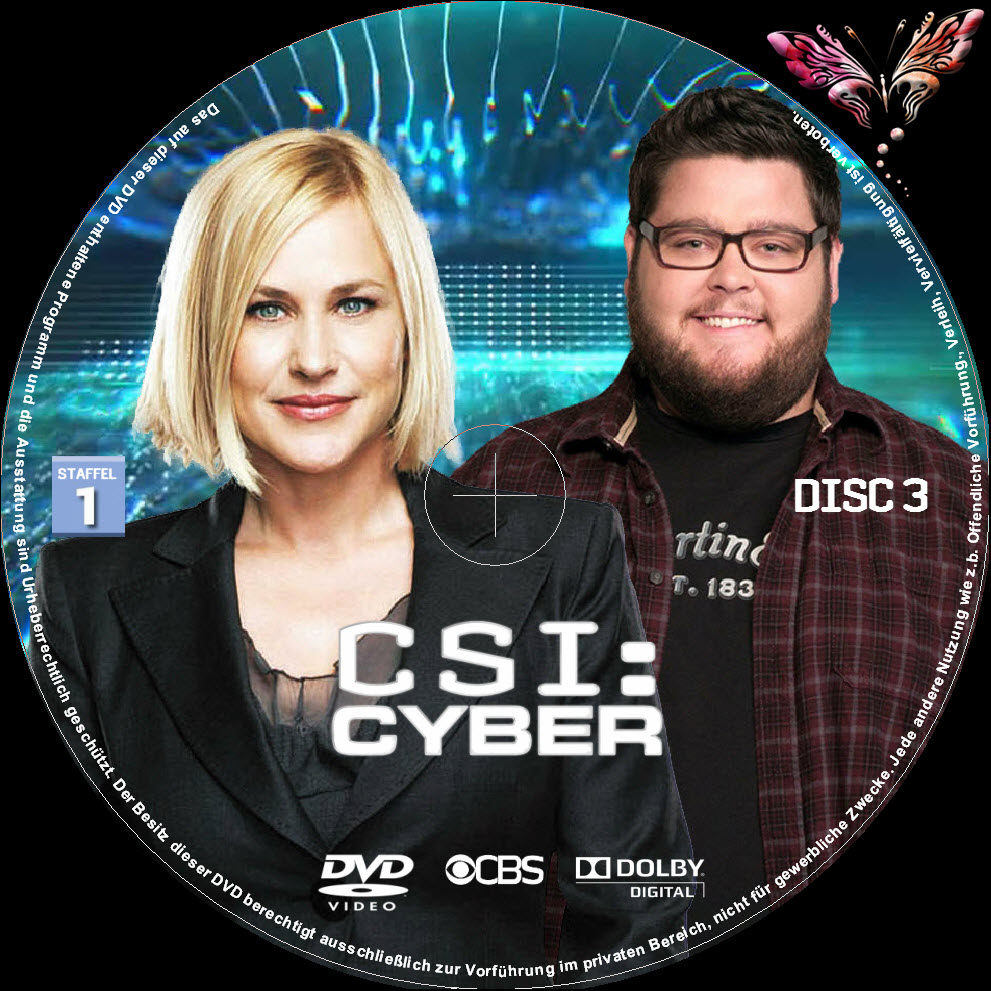 CSI Cyber Staffel 1 DVD 3