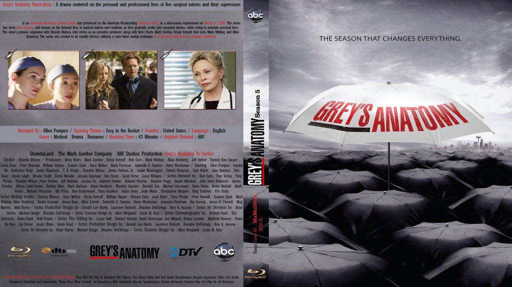 Greys Anatomy Seasons 5  Custom  Bluray