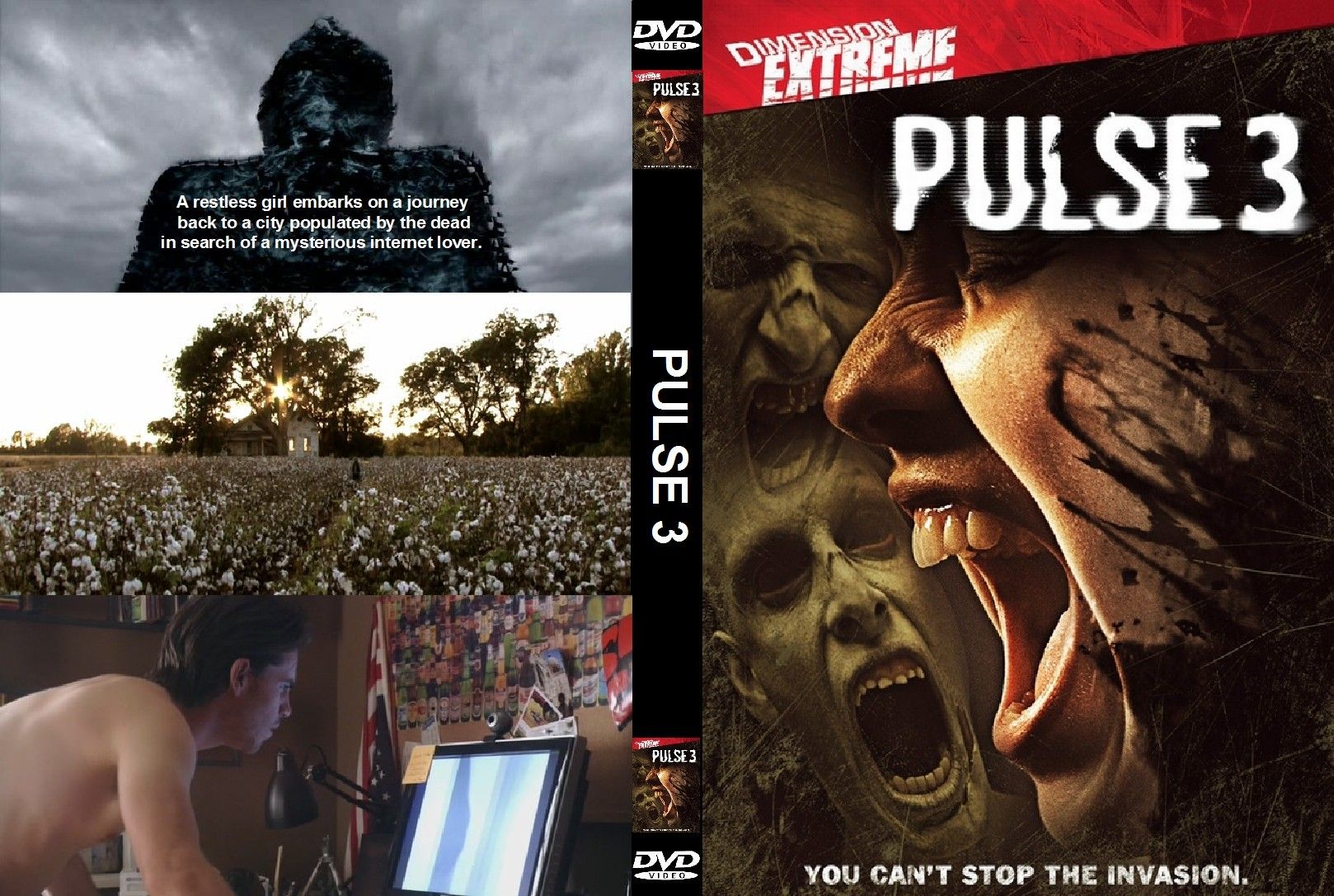 Pulse 3 DVD US CUSTOM