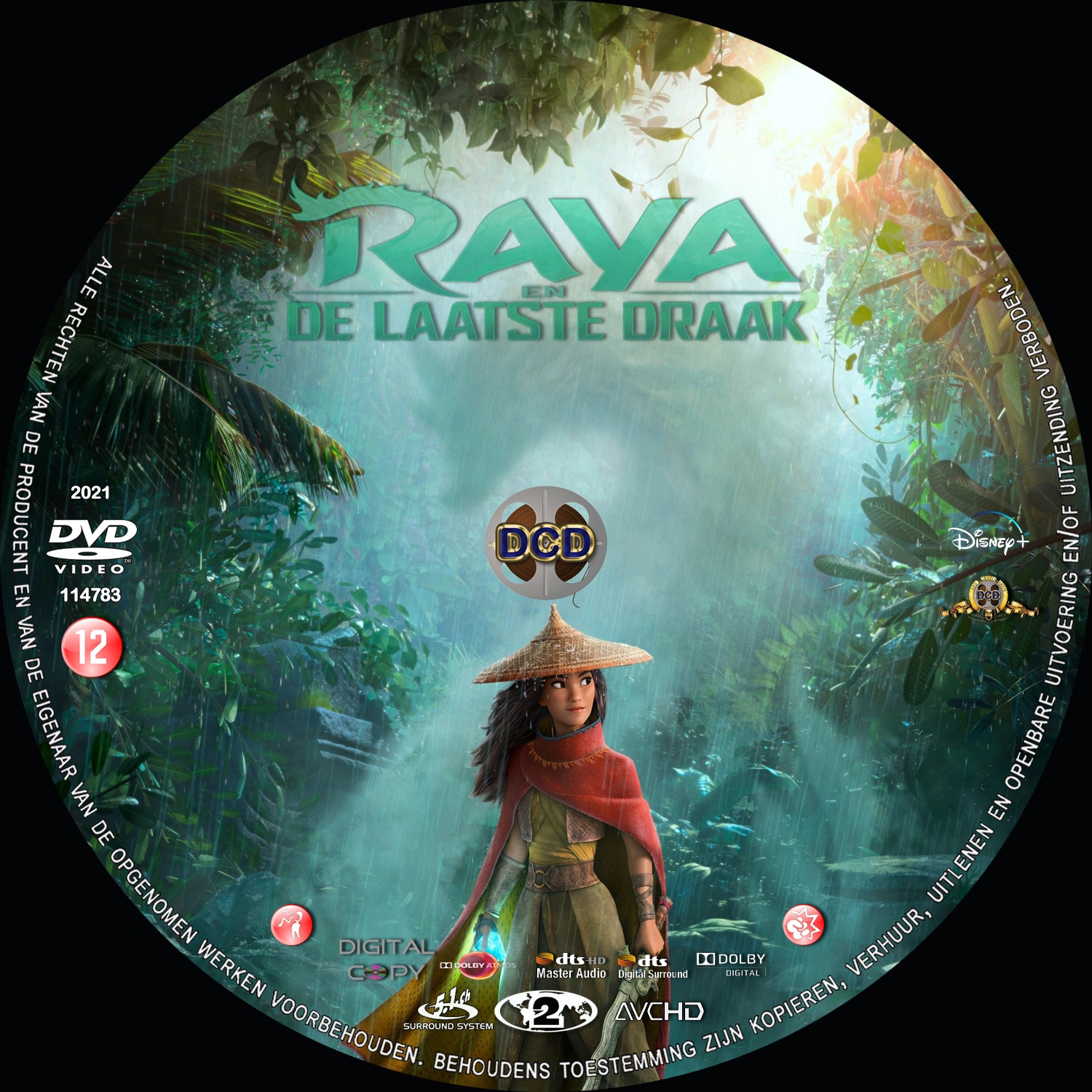 raya en de laatste draak (2021) DVD Cover CD | DVD Covers | Cover ...