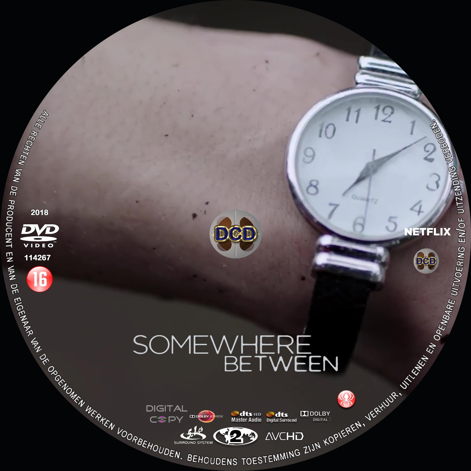 somewhere between (2018) DVD Cover CD