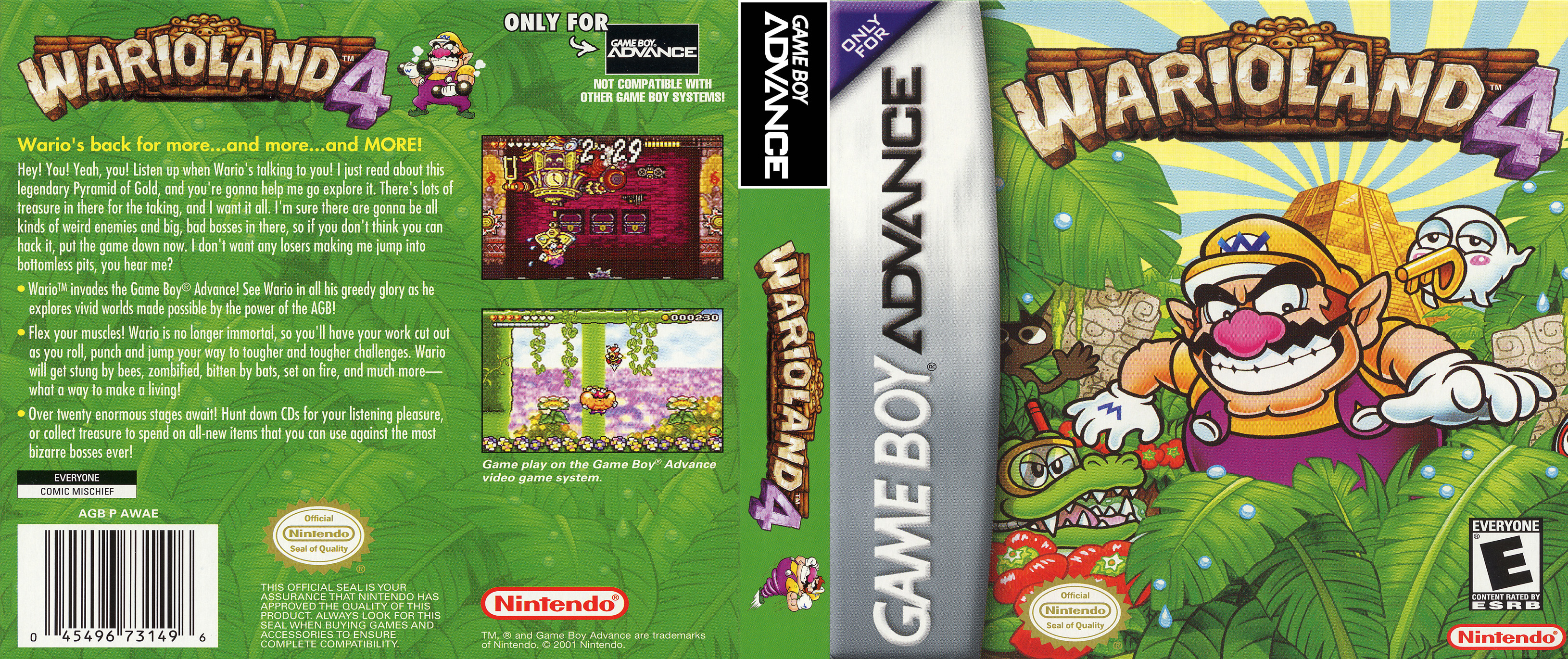 warioland4.jpg