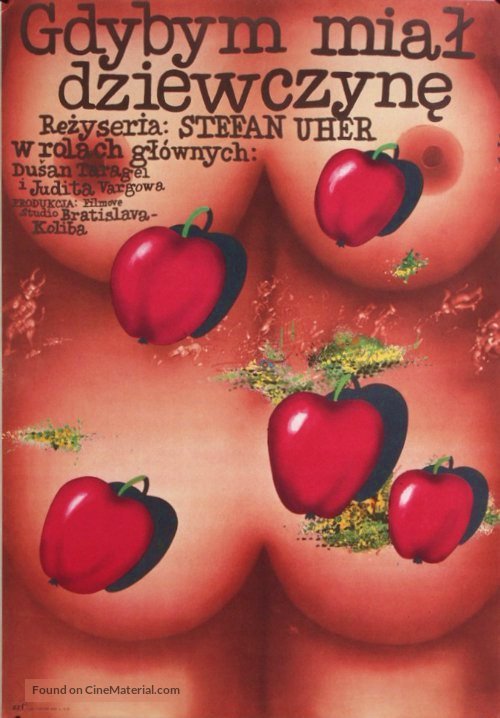 keby som mal dievca polish