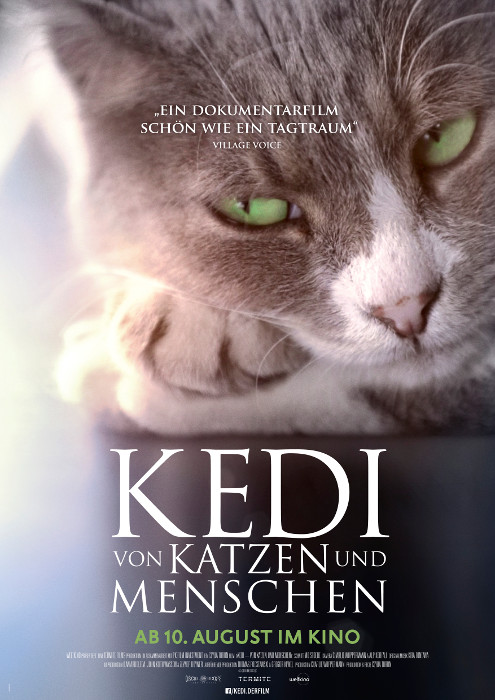kedi von katzen und menschen