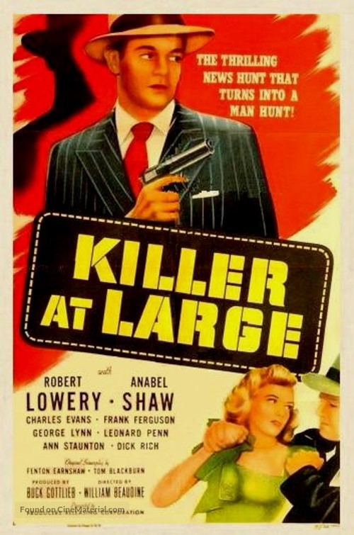 killer at large 3