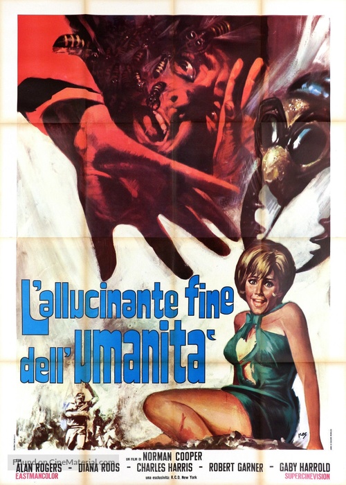 konchu daisenso italian