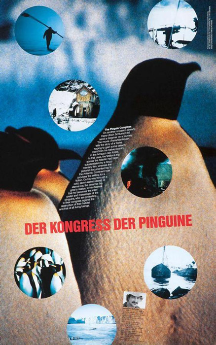 kongress der pinguine der 2 ch