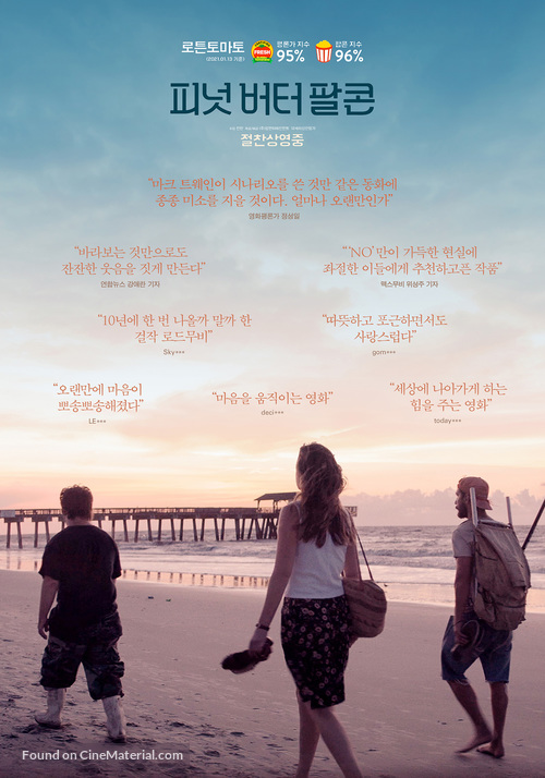 the peanut butter falcon south korean