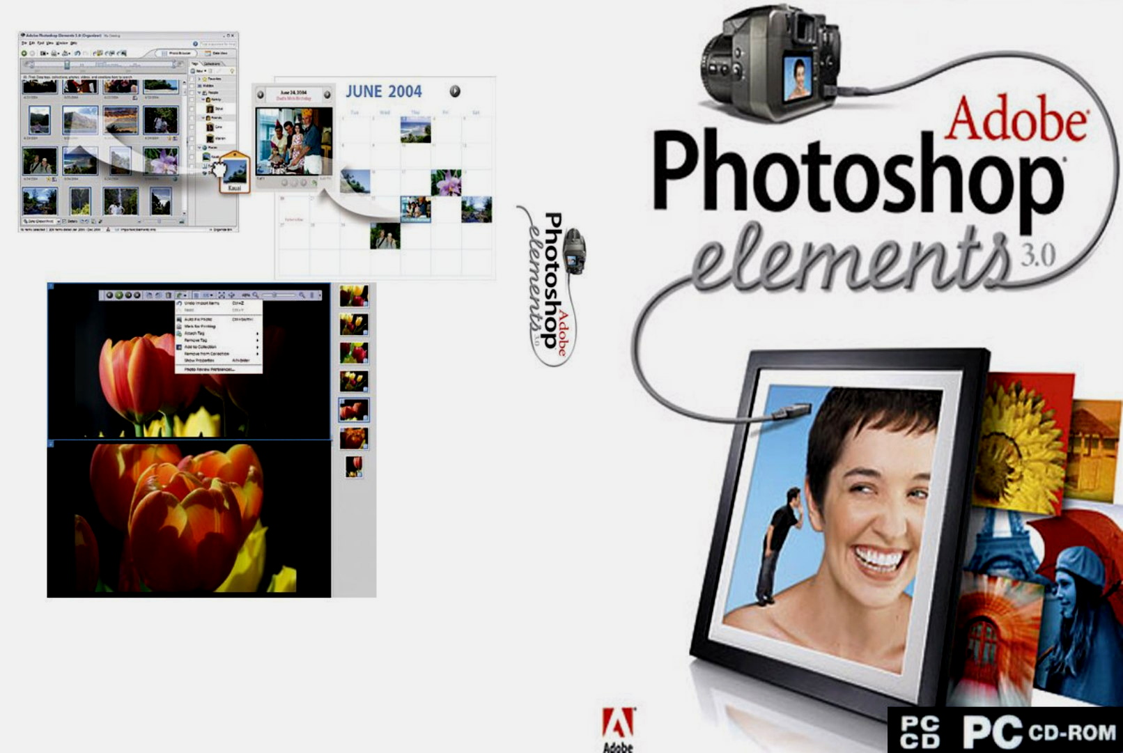 adobe  photoshop elements 3.0 d