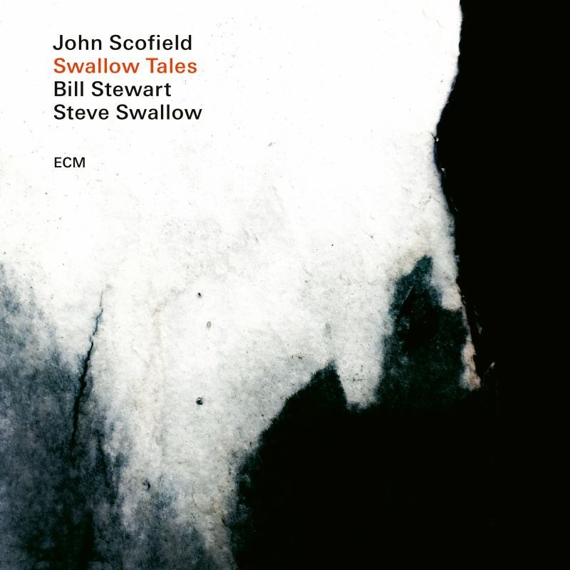 john scofield swallow tales w bill stewart steve s